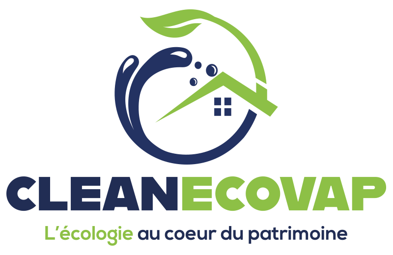 cleanecovap logo